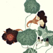 Moritane Yamashita Gallery